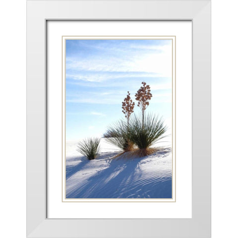 Yuccas and White Sand II White Modern Wood Framed Art Print with Double Matting by Taylor, Douglas