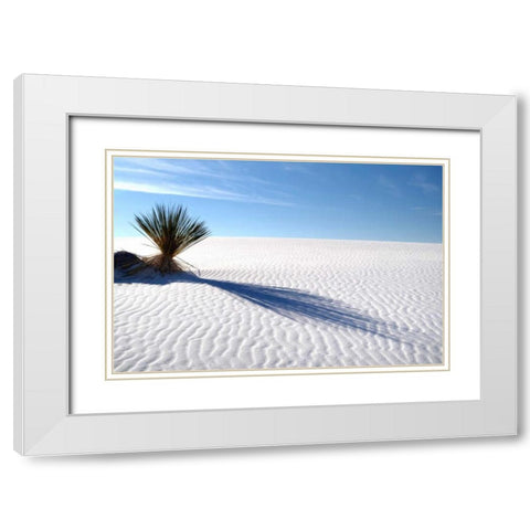 Sand Shadows I White Modern Wood Framed Art Print with Double Matting by Taylor, Douglas