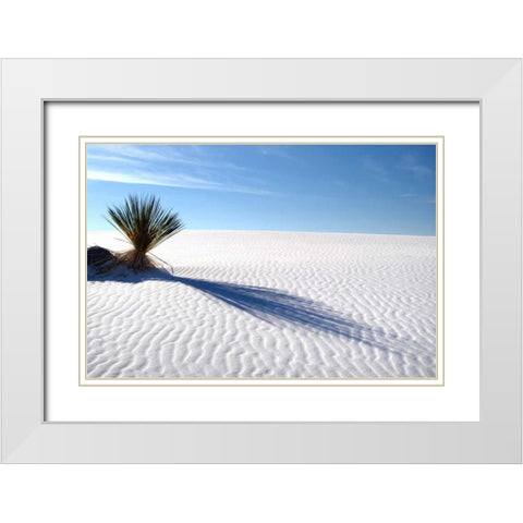 Sand Shadows I White Modern Wood Framed Art Print with Double Matting by Taylor, Douglas