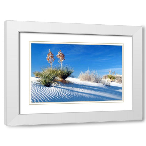 Sand Shadows II White Modern Wood Framed Art Print with Double Matting by Taylor, Douglas