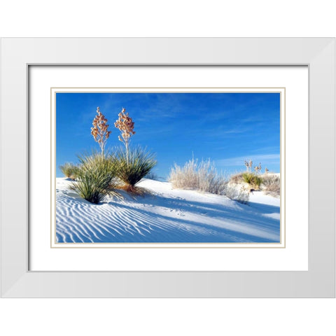 Sand Shadows II White Modern Wood Framed Art Print with Double Matting by Taylor, Douglas