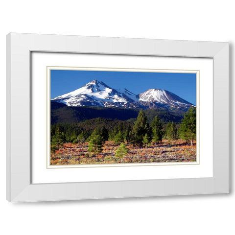 Morning in Shasta White Modern Wood Framed Art Print with Double Matting by Taylor, Douglas