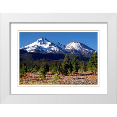 Morning in Shasta White Modern Wood Framed Art Print with Double Matting by Taylor, Douglas