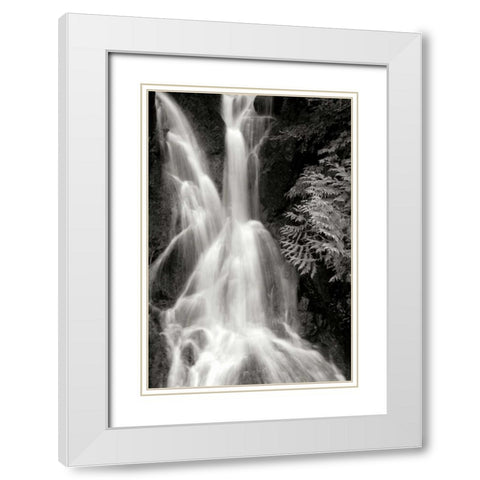 Falling Water I BW White Modern Wood Framed Art Print with Double Matting by Taylor, Douglas
