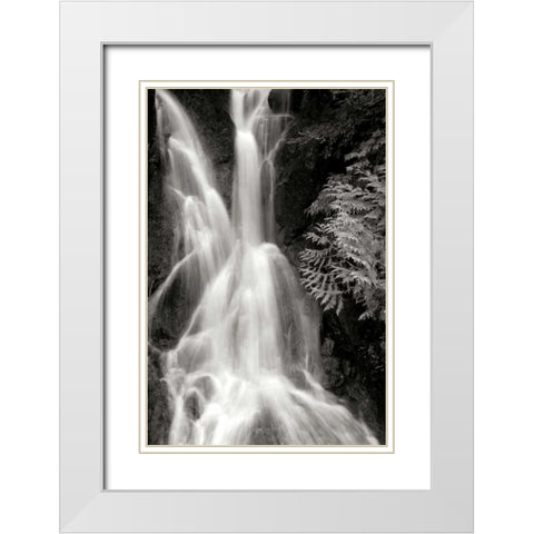 Falling Water I BW White Modern Wood Framed Art Print with Double Matting by Taylor, Douglas