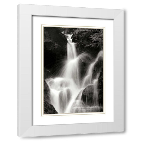 Falling Water II BW White Modern Wood Framed Art Print with Double Matting by Taylor, Douglas