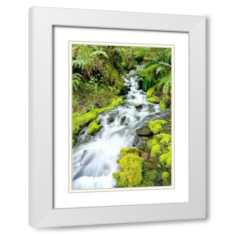 Mountain Stream White Modern Wood Framed Art Print with Double Matting by Taylor, Douglas
