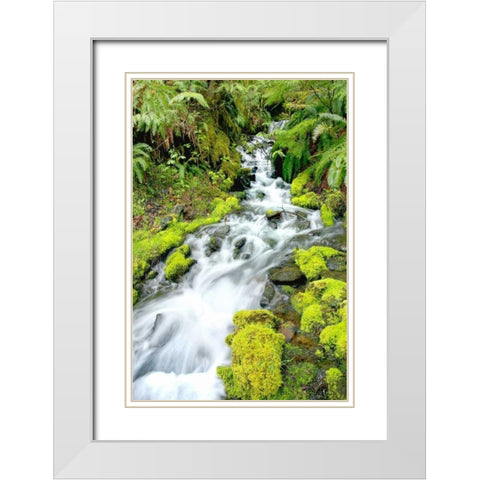 Mountain Stream White Modern Wood Framed Art Print with Double Matting by Taylor, Douglas