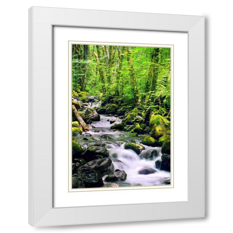 Snowmelt White Modern Wood Framed Art Print with Double Matting by Taylor, Douglas