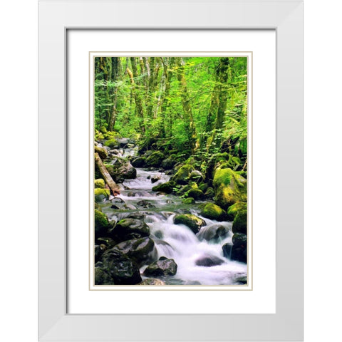 Snowmelt White Modern Wood Framed Art Print with Double Matting by Taylor, Douglas