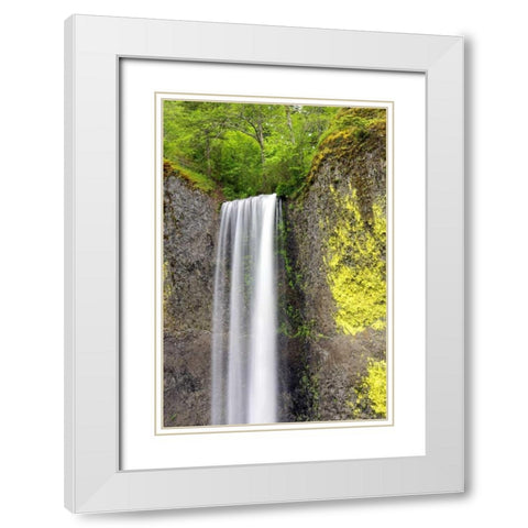 Latourell Falls White Modern Wood Framed Art Print with Double Matting by Taylor, Douglas