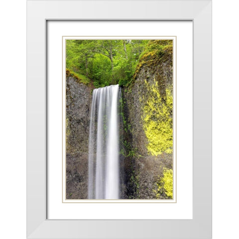 Latourell Falls White Modern Wood Framed Art Print with Double Matting by Taylor, Douglas
