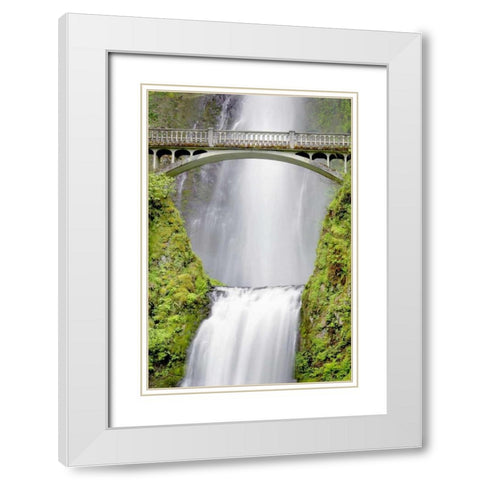 Water Under the Bridge White Modern Wood Framed Art Print with Double Matting by Taylor, Douglas