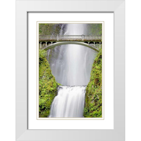 Water Under the Bridge White Modern Wood Framed Art Print with Double Matting by Taylor, Douglas