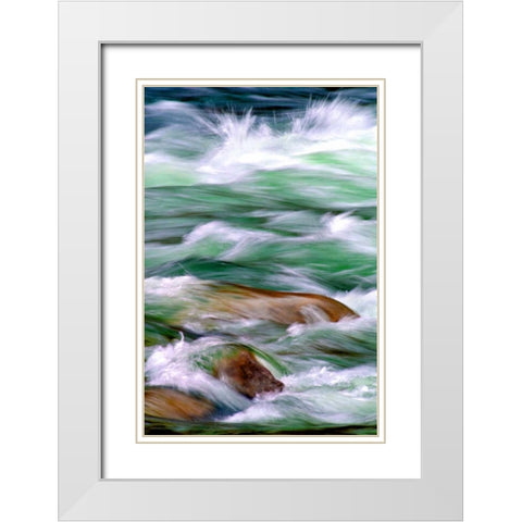 By the River II White Modern Wood Framed Art Print with Double Matting by Taylor, Douglas
