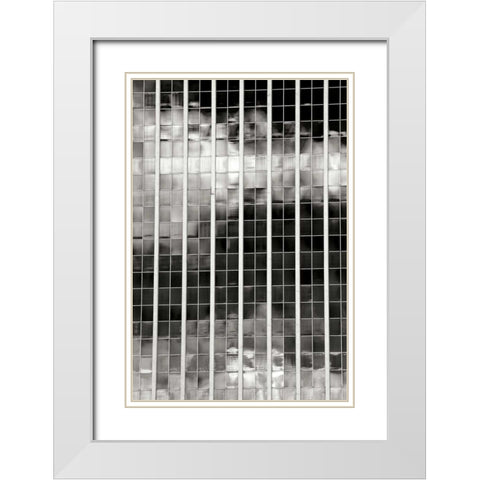 Sky Reflections BW White Modern Wood Framed Art Print with Double Matting by Taylor, Douglas