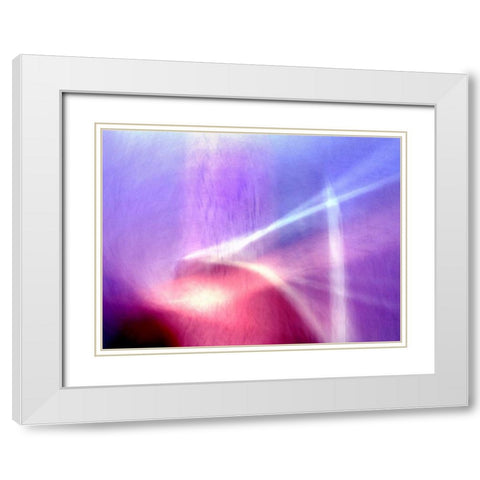 Sunken Forest White Modern Wood Framed Art Print with Double Matting by Taylor, Douglas