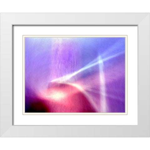 Sunken Forest White Modern Wood Framed Art Print with Double Matting by Taylor, Douglas
