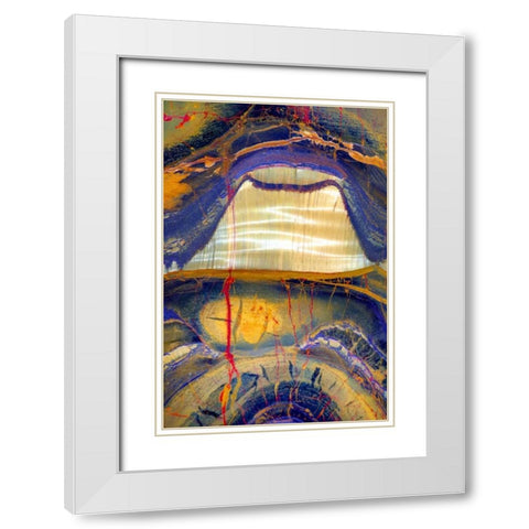 Tiger Eye White Modern Wood Framed Art Print with Double Matting by Taylor, Douglas