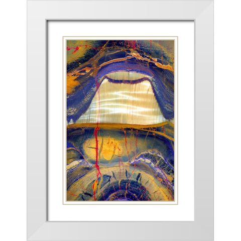 Tiger Eye White Modern Wood Framed Art Print with Double Matting by Taylor, Douglas