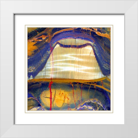 Tiger Eye Sq White Modern Wood Framed Art Print with Double Matting by Taylor, Douglas