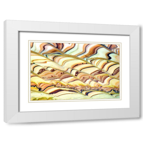 Quartzite Pastorale White Modern Wood Framed Art Print with Double Matting by Taylor, Douglas