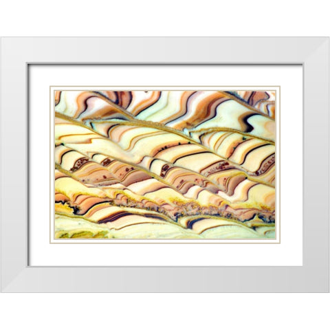 Quartzite Pastorale White Modern Wood Framed Art Print with Double Matting by Taylor, Douglas
