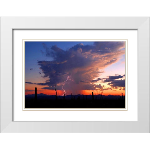 Twilight Lightning II White Modern Wood Framed Art Print with Double Matting by Taylor, Douglas
