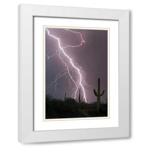 Fire and Rain White Modern Wood Framed Art Print with Double Matting by Taylor, Douglas