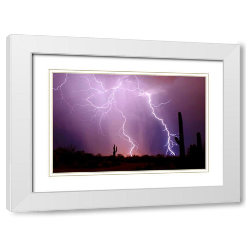 Electrifying White Modern Wood Framed Art Print with Double Matting by Taylor, Douglas