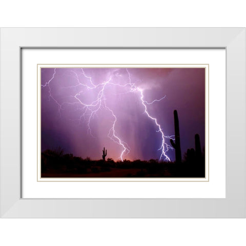 Electrifying White Modern Wood Framed Art Print with Double Matting by Taylor, Douglas