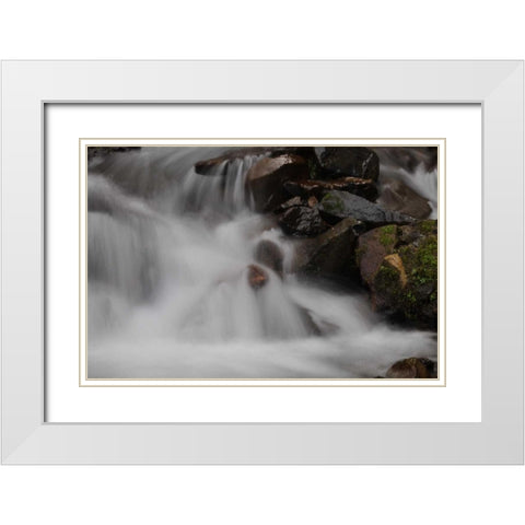 Stream Falls I White Modern Wood Framed Art Print with Double Matting by Thomas, Logan
