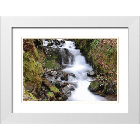 Stream Falls VII White Modern Wood Framed Art Print with Double Matting by Thomas, Logan