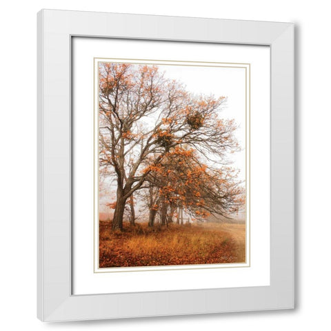 Autumn Lane White Modern Wood Framed Art Print with Double Matting by Geyman, Vitaly