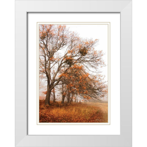 Autumn Lane White Modern Wood Framed Art Print with Double Matting by Geyman, Vitaly
