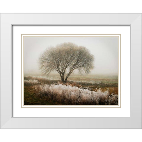 Tranquility I White Modern Wood Framed Art Print with Double Matting by Geyman, Vitaly