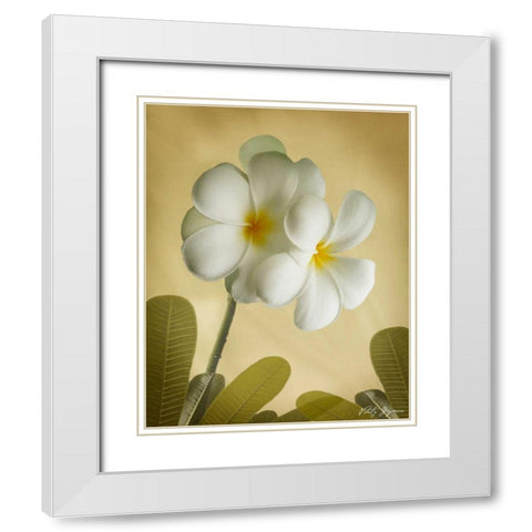 Oriental Plumeria I White Modern Wood Framed Art Print with Double Matting by Geyman, Vitaly