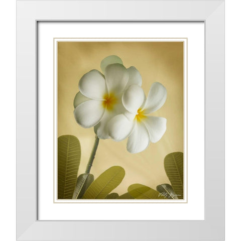 Oriental Plumeria I White Modern Wood Framed Art Print with Double Matting by Geyman, Vitaly