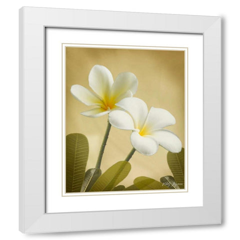 Oriental Plumeria II White Modern Wood Framed Art Print with Double Matting by Geyman, Vitaly