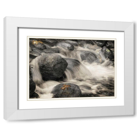 Silver Falls I White Modern Wood Framed Art Print with Double Matting by Geyman, Vitaly