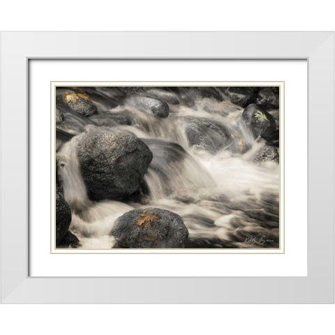 Silver Falls I White Modern Wood Framed Art Print with Double Matting by Geyman, Vitaly
