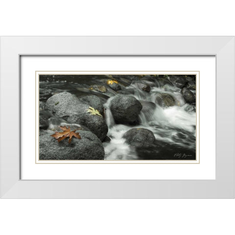 Silver Falls II White Modern Wood Framed Art Print with Double Matting by Geyman, Vitaly