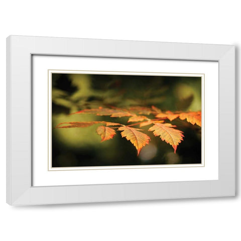 Autumn Fire Leaves II White Modern Wood Framed Art Print with Double Matting by Geyman, Vitaly