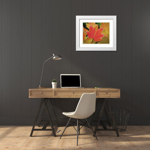 Maple Leaves Perfection II White Modern Wood Framed Art Print with Double Matting by Geyman, Vitaly