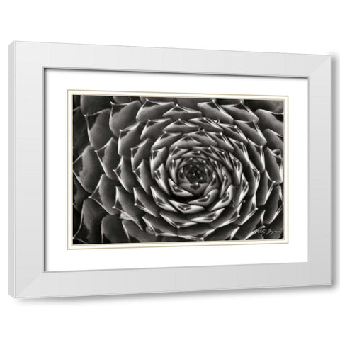 Floral Labyrinth II White Modern Wood Framed Art Print with Double Matting by Geyman, Vitaly