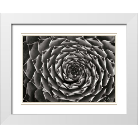 Floral Labyrinth II White Modern Wood Framed Art Print with Double Matting by Geyman, Vitaly
