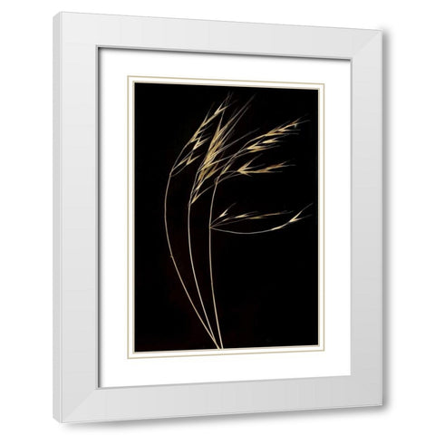 Grass Mosaic II White Modern Wood Framed Art Print with Double Matting by Geyman, Vitaly