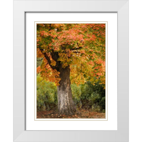 Fall Maple Fever I White Modern Wood Framed Art Print with Double Matting by Geyman, Vitaly