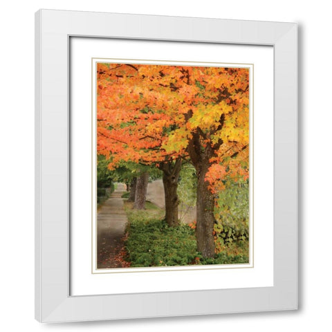 Fall Maple Fever II White Modern Wood Framed Art Print with Double Matting by Geyman, Vitaly