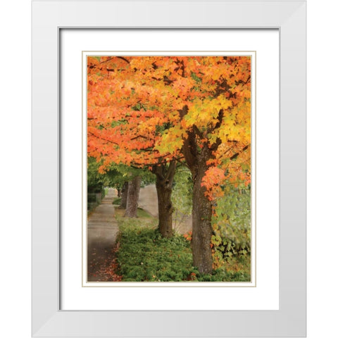 Fall Maple Fever II White Modern Wood Framed Art Print with Double Matting by Geyman, Vitaly